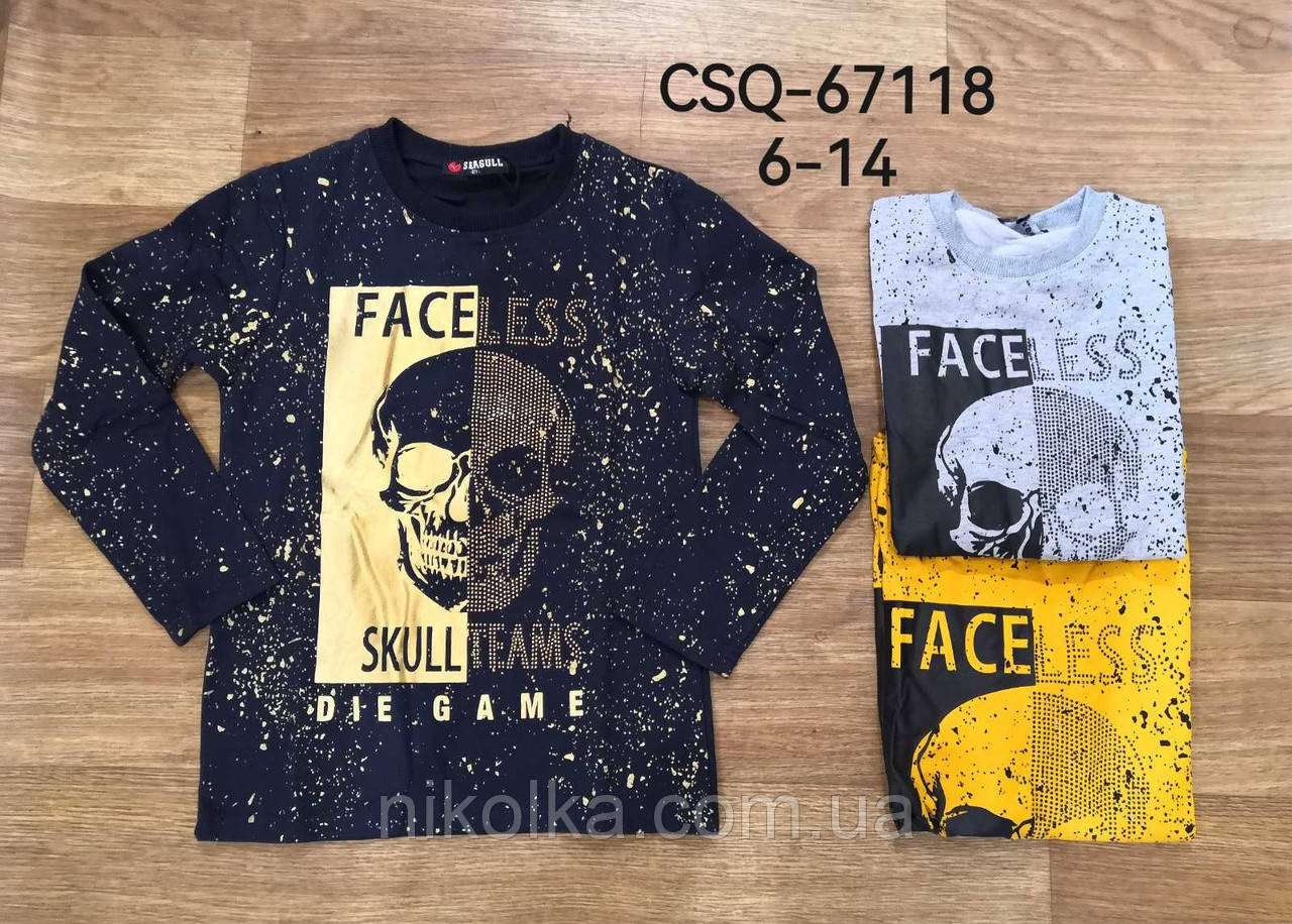 Реглан для хлопчика оптом, Seagull, 6-14 років, арт. CSQ-67118, фото 1