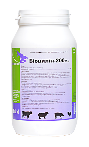 Биоцилин- 200 ВП 1 кг Interchemie - фото 1 - id-p1654439597