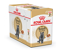 Вологий корм Royal Canin British Shorthair Adult для котів британської короткошерстої породи 12х85гр