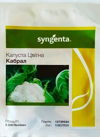 Насіння капусти білокачанної Кабрал F1 2500 шт, Syngenta