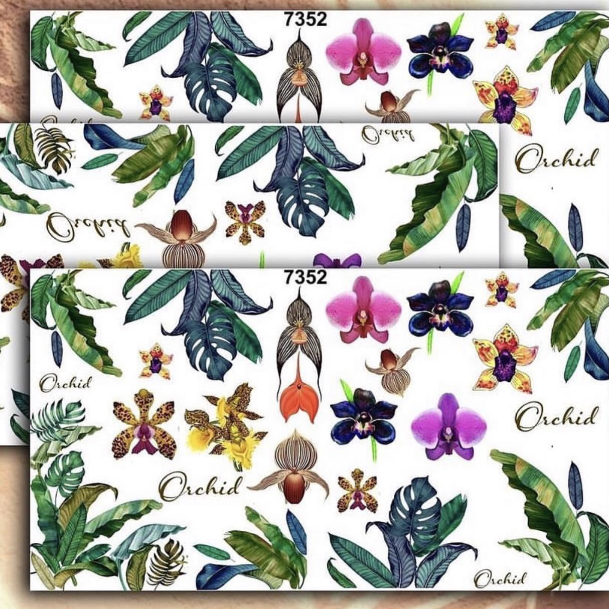 Слайдер-дизайн 7352, фото 1