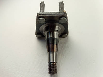 Ступиця (цапфа) заднього колеса Lanos, (96115666)