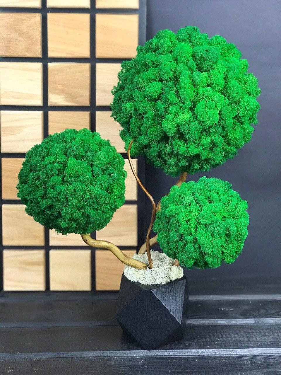 Декоративне Дерево з 3-ма кронами з стабілізованого моху для дому офісу Оригінальний корпоративний подарунок