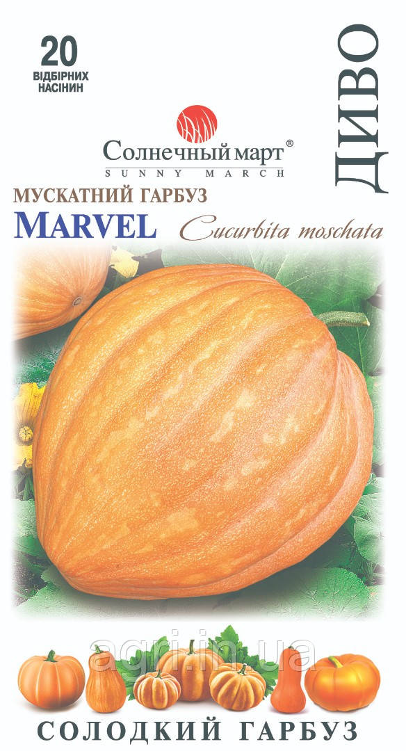 Гарбуз Диво, 20шт.