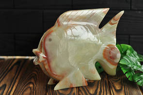 Черепахи, риби, дельфіни