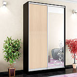 Шафа-Купе 2-х дверна 1500мм, фото 5