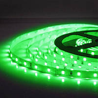 Світлодіодна стрічка OEM ST-12-2835-60-G-20 зелений, негерметична, 1м µ, фото 3