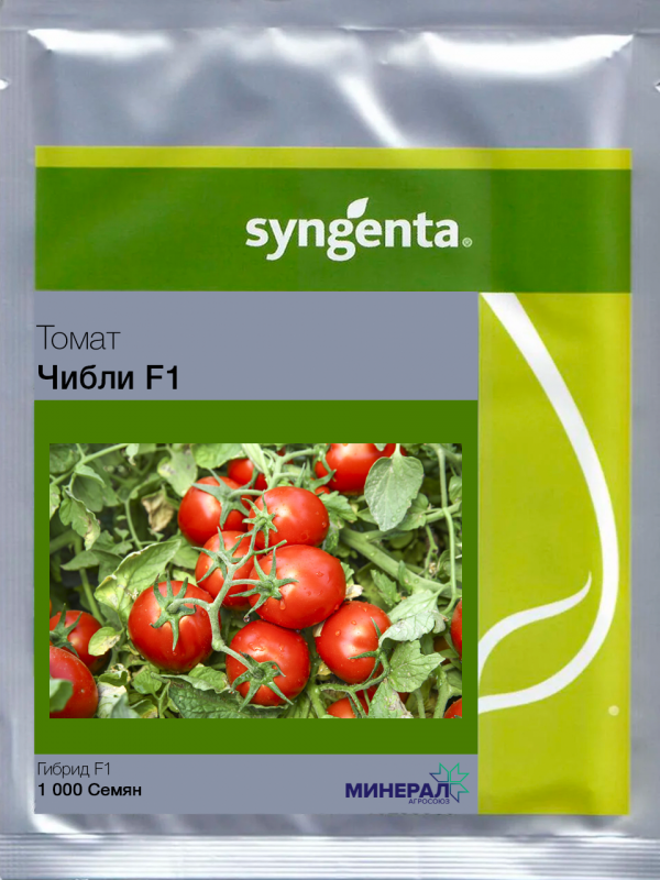 Насіння томатів Чіблі F1 2500 шт, Syngenta