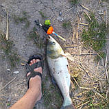 Вантаж для лову товстолоба із вставкою 40 г (Грузило на товстолоба з пластиковою втулкою), фото 3