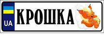 Власне номер на інвалідному візку, фото 3