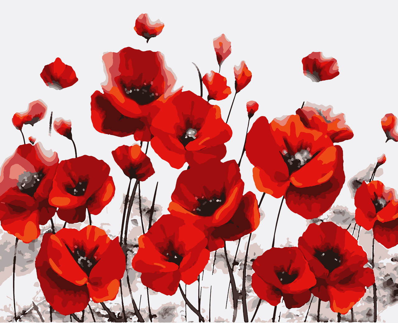 Картина за номерами "Маки" 50*60 см