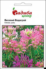 Клеома Веселий Водограй, суміш, Садиба центр 0,3 г