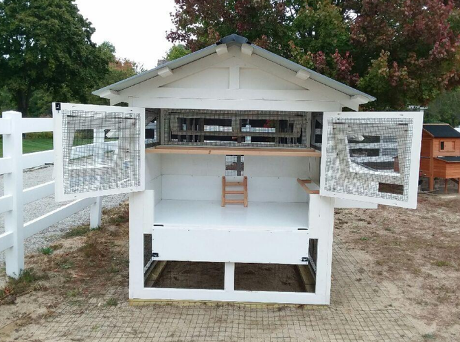 Курятник, клітки для домашньої птиці.