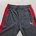 Штани чоловічі спортивні розмір 52 сірі з червоним, фото 2