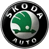 Штатні магнітоли Skoda