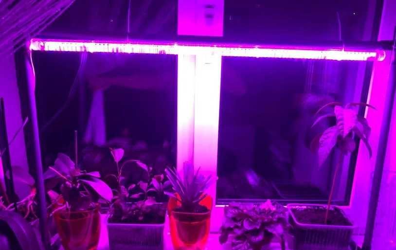 Фитолампа Т5 1200 мм 18 Вт. Лінійний світильник для рослин