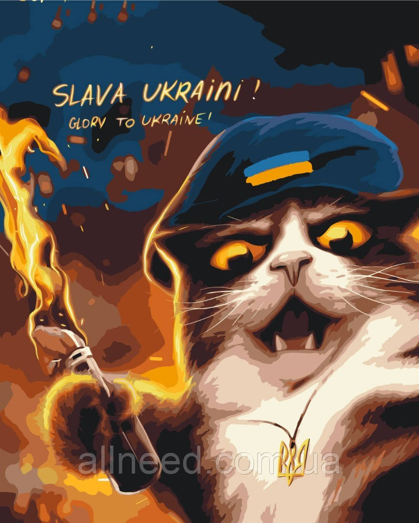 Картина за номерами Котик повстанець ©Маріанна Пащук