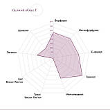 Кубики дубові Bousinage. Франція. Прожарювання міцне. 50 грам., фото 2