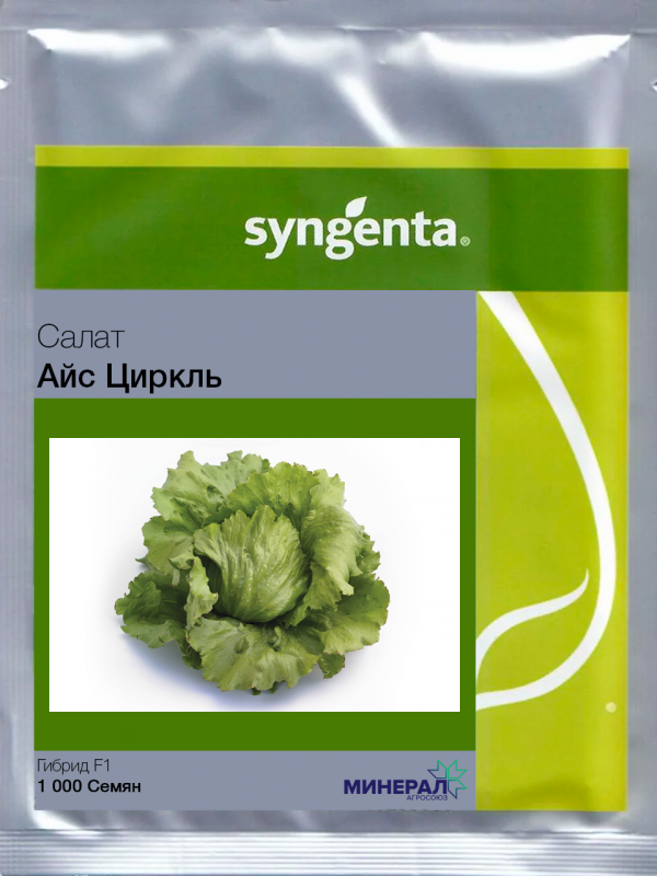 Насіння салату Сіркль F1 5000 шт, Syngenta, фото 1