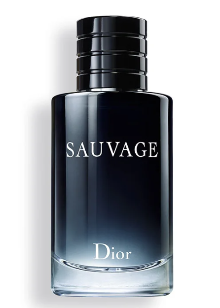 Мужские духи Dior Savage 2015 EDT 100ml - фото 1 - id-p1655736460