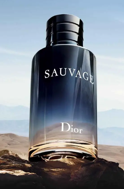 Мужские духи Dior Savage 2015 EDT 100ml - фото 3 - id-p1655736460