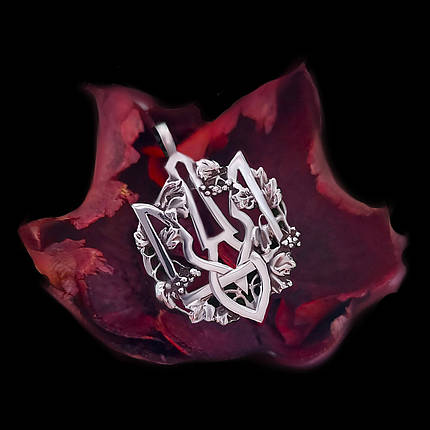 Тризуб з калиною, Орден У. Г. А., кулон, підвіс, фото 1