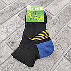 Шкарпетки жіночі середні зимові махровий слід р.25-27 трекінгові з синьою п'ятою "Смужка" SOCKS 30033237, фото 2