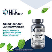 Life Extension GeroProtect Autophagy Renew / Оновлення аутофагії 30 капсул BX146, фото 4