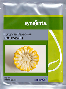 Насіння кукурудзи GSS 8529 F1 100000 шт, Syngenta