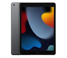 Apple iPad 10,2" 9gen 256GB Wi-Fi Space Gray MK2N3FD/A