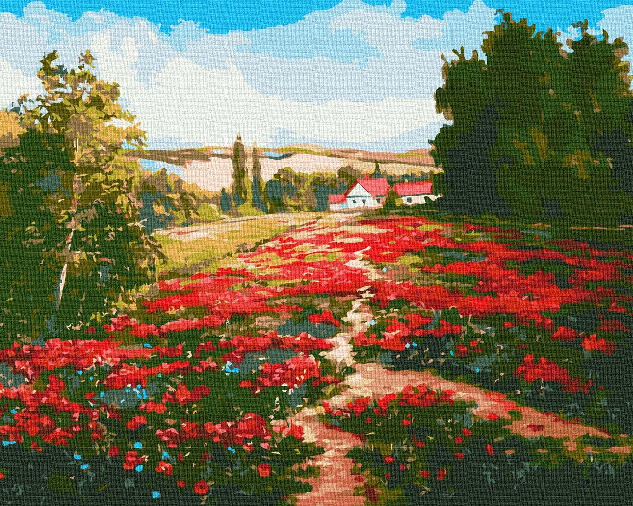 Картина за номерами 40х50 см. Макове поле © Олександр Закусилов. Ідейка.