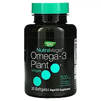Ascenta, NutraVege, омега-3 рослинного походження, 500 мг, 30 м'яких таблеток Київ