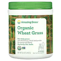 Amazing Grass, Органические ростки пшеницы, 240 г Днепр