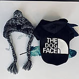 Кофта для собак з капішоном M, фото 6