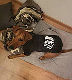 Кофта для собак з капішоном M, фото 5