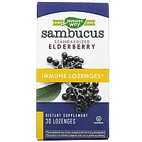 Nature's Way, Sambucus Immune, бузина, стандартизированный экстракт, 30 пастилок в Украине