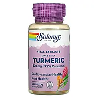 Solaray, One Daily, Turmeric Root Extract, 600 mg, 60 VegCaps Київ