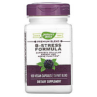 Nature's Way, B-Stress Formula, 100 Vegan Capsules Київ