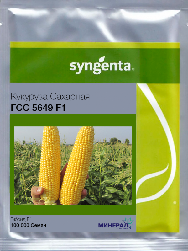 Насіння кукурудзи GSS 5649 F1 100000 шт, Syngenta