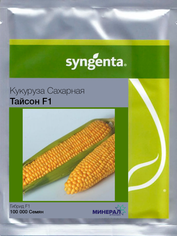 Насіння кукурудзи Тайсон F1 100000 шт, Syngenta