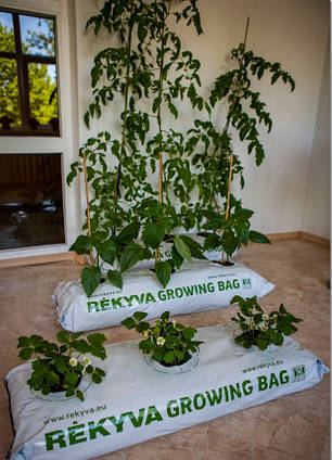 Торф'яний субстрат GROWING BAG pH 5.5-6.5, 45 літрів, фото 3