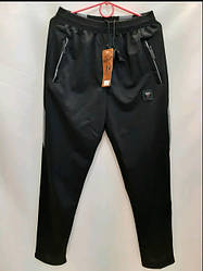 Спортивні штани оптом