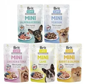 Brit Care (Чехия)