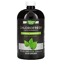 Nature's Way, Chlorofresh, рідкий хлорофіл, з ароматом м яти, 132 мг, 473,2 мл (16 рідк. унцій)