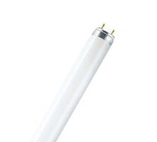 Лампа Actinic BL TL 8W/10 G5 PHILIPS ультрафіолетова, для комах 928001001030