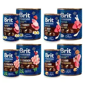 Brit Premium (Чехия)