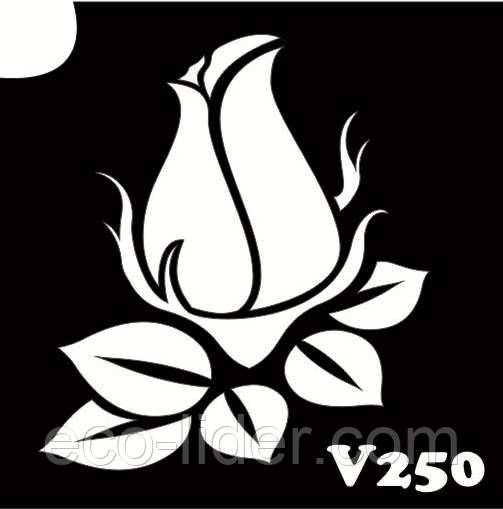 Трафарет для біотату V250, 6*6 див., фото 1