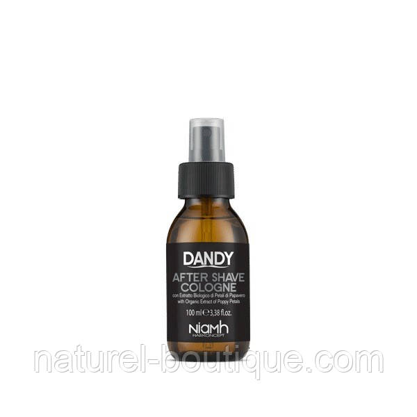 Одеколон-спрей після гоління Niamh Hairconcept Dandy