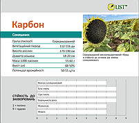 Насіння соняшнику гібрид Карбон (стандарт), ТМ "ТД ЛИСТ", Україна, фото 4