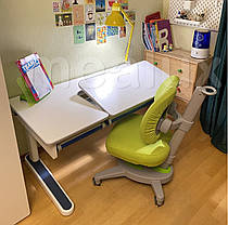 Mealux Oxford Lite | Дитяча зростаюча парта стіл для навчання, фото 2